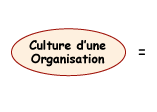 Culture dune organisation
