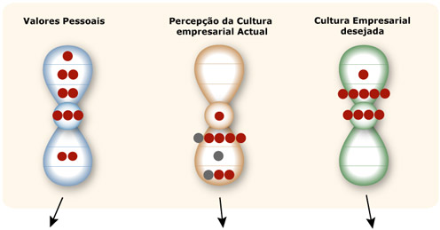 Modelo 7 Níveis de Consciência