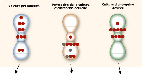 Modle 7 niveaux de conscience