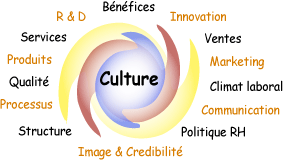 Culture d'entreprise 