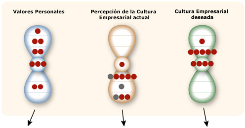 Modelo 7 niveles de consciencia