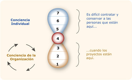 Modelo 7 niveles de consciencia