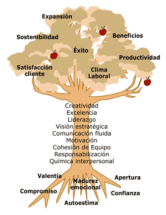 rbol cambios de raiz