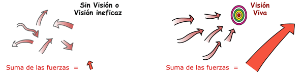 Visin Viva alineada